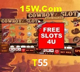 Exclusive Offers T55