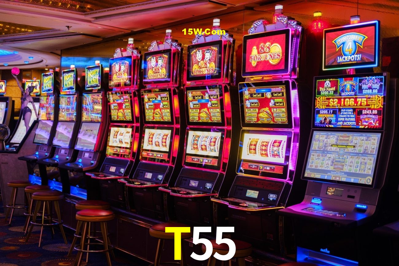 Bonus Features T55