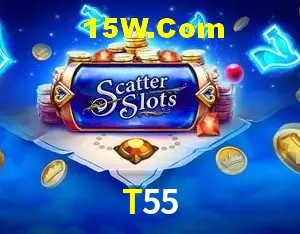 Flash Promotion T55