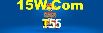 Premium Interface T55